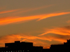 City Lights IV