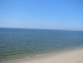 Beach View B
